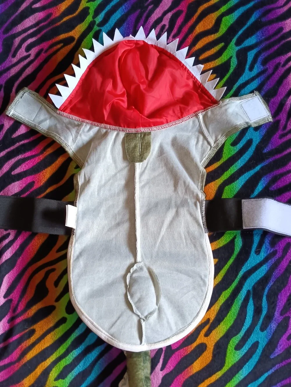🖤 Baby Dinosaur Egg Dog Costume Pets Halloween Small S Way To Celebrate